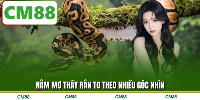 Nằm mơ thấy rắn to theo nhiều góc nhìn