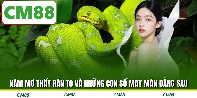 Nằm mơ thấy rắn to và những con số may mắn đằng sau